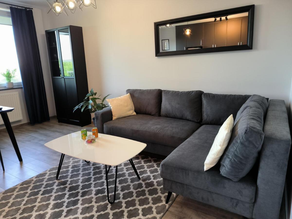 Apartament Stanczyka - 42M2 Krakkó Kültér fotó